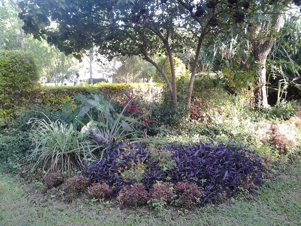 Lira Brownstone Country Home المظهر الخارجي الصورة