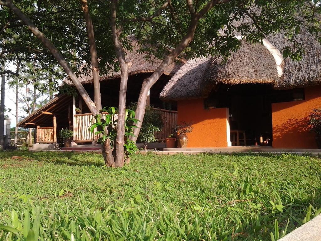 Lira Brownstone Country Home المظهر الخارجي الصورة