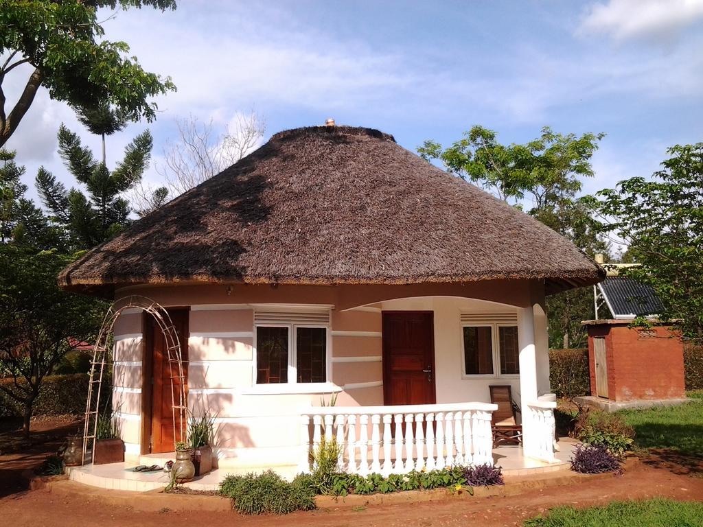 Lira Brownstone Country Home المظهر الخارجي الصورة