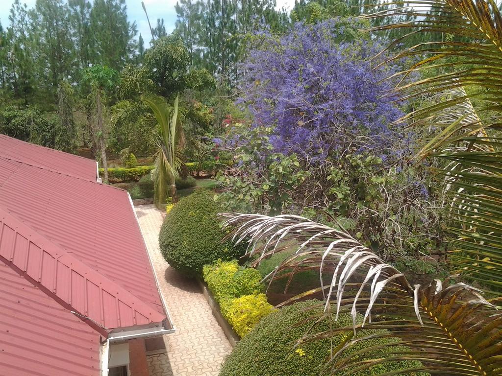 Lira Brownstone Country Home المظهر الخارجي الصورة