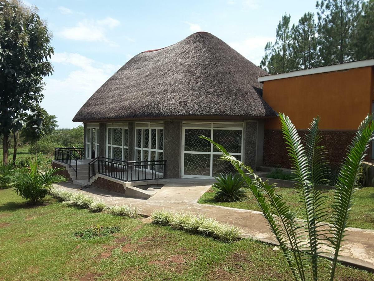 Lira Brownstone Country Home المظهر الخارجي الصورة